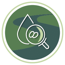 Hematology services icon